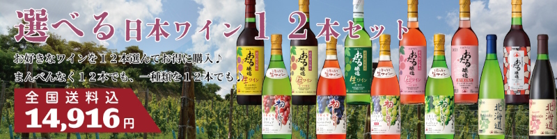 選べる日本ワイン12本セット