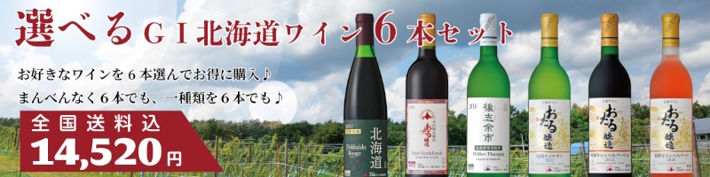 選べるGI北海道ワイン6本セット